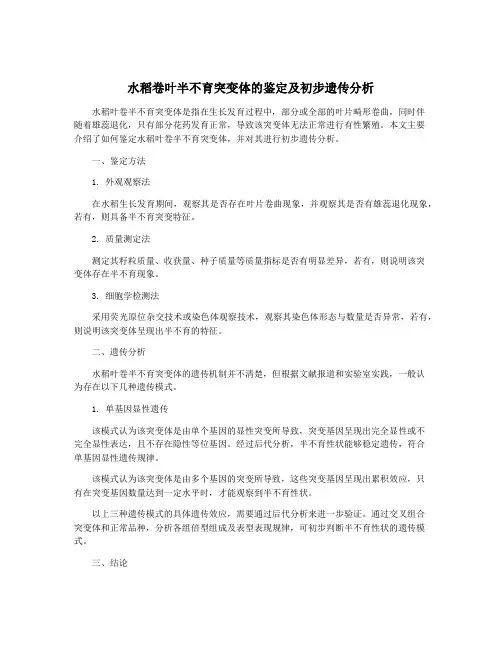 水稻卷叶半不育突变体的鉴定及初步遗传分析