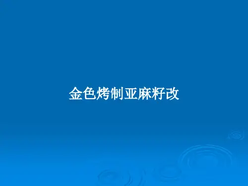 金色烤制亚麻籽改PPT教案
