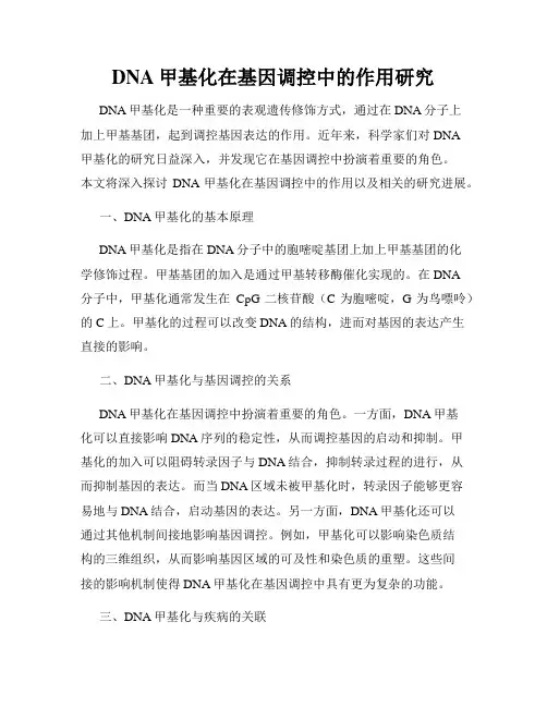 DNA甲基化在基因调控中的作用研究