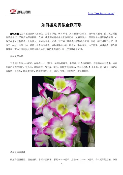 如何鉴别真假金钗石斛