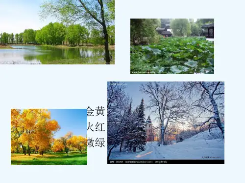 人教版三年级语文上册五花山课件