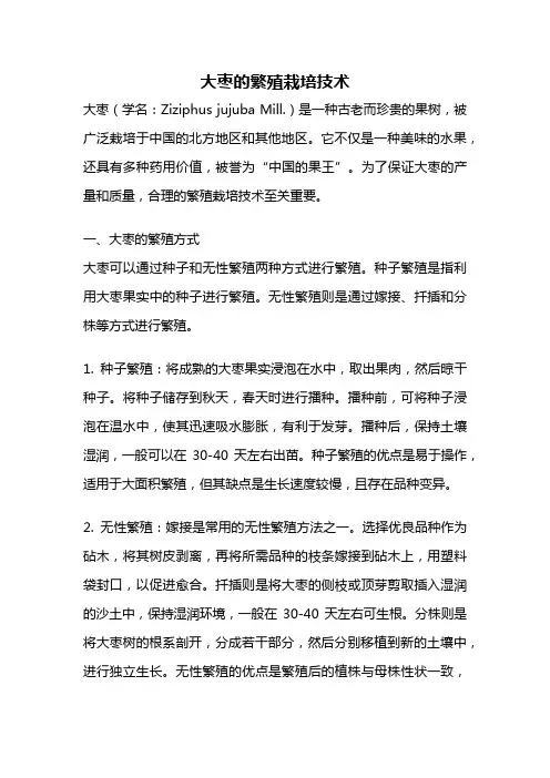 大枣的繁殖栽培技术
