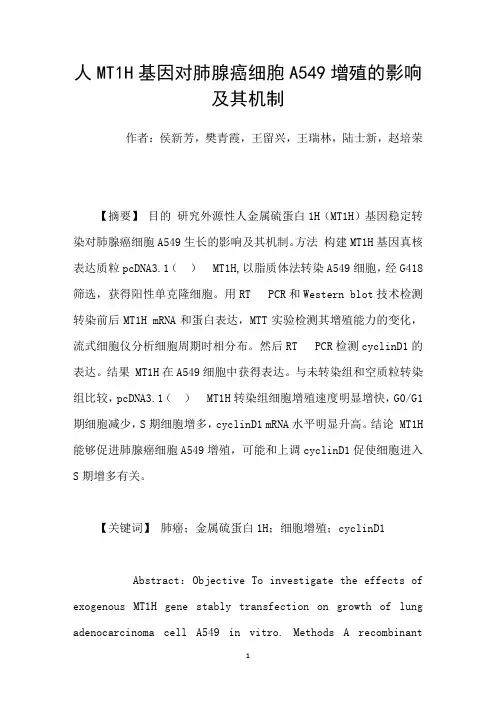 人MT1H基因对肺腺癌细胞A549增殖的影响及其机制