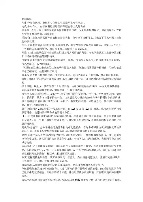 组胚名词解释