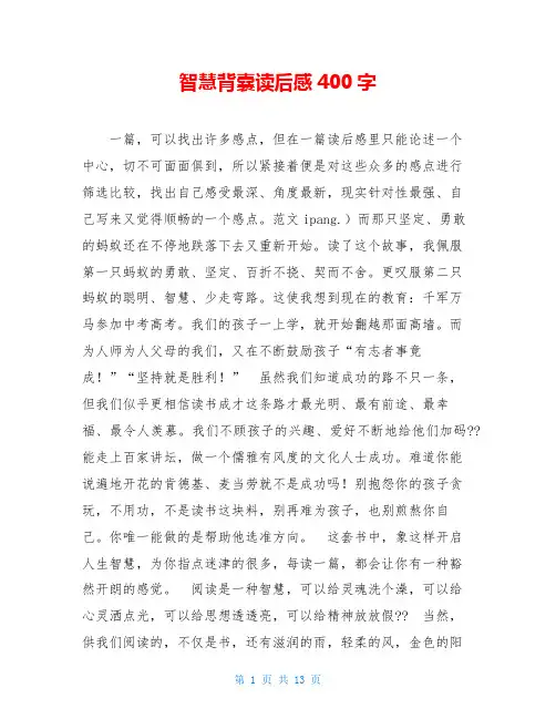 智慧背囊读后感400字