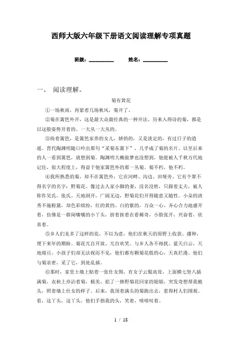 西师大版六年级下册语文阅读理解专项真题