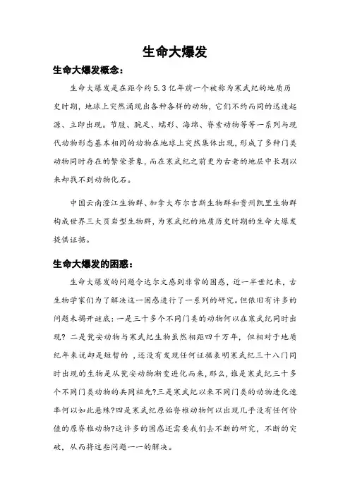 生命大爆发
