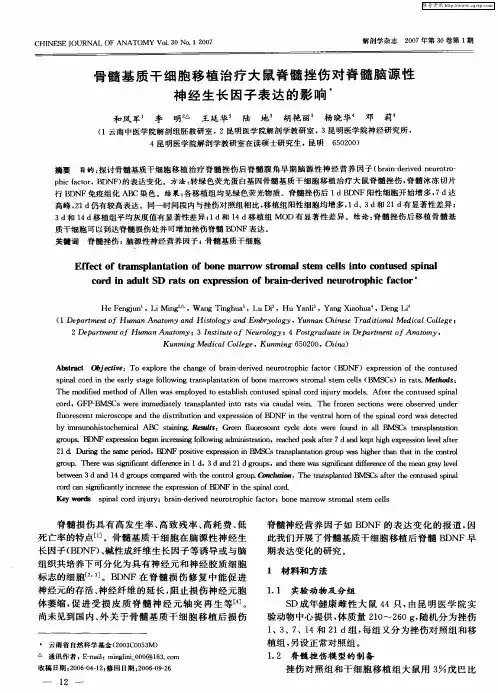 骨髓基质干细胞移植治疗大鼠脊髓挫伤对脊髓脑源性神经生长因子表达的影响