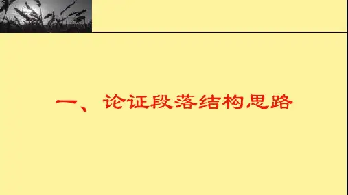 议论文段落写作思路
