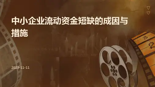 中小企业流动资金短缺的成因与措施