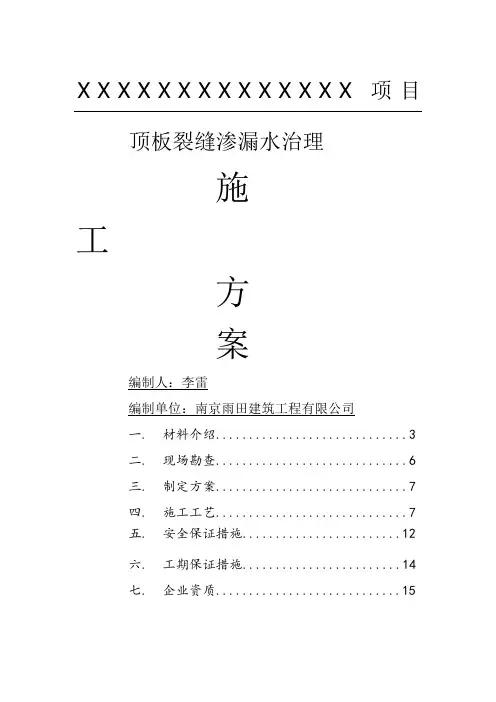 赛柏斯裂缝渗漏水自愈现场施工方法