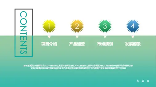 PPT模板公司产品项目介绍ppt