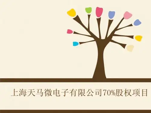 资产评估上海微天马