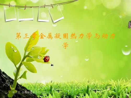 第三章金属凝固热力学与动力学