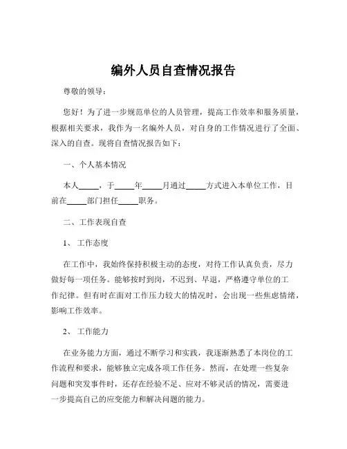 编外人员自查情况报告