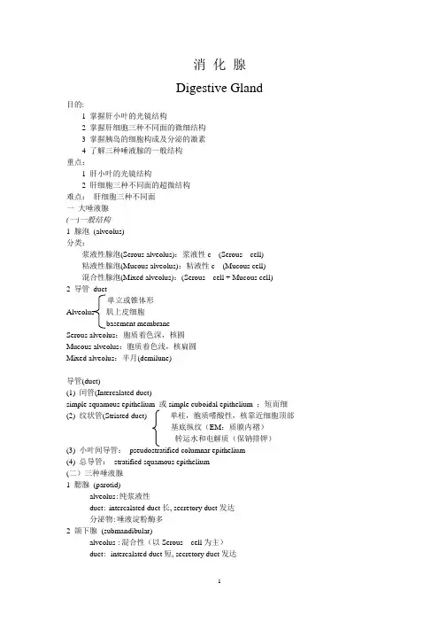 掌握肝小叶的光镜结构