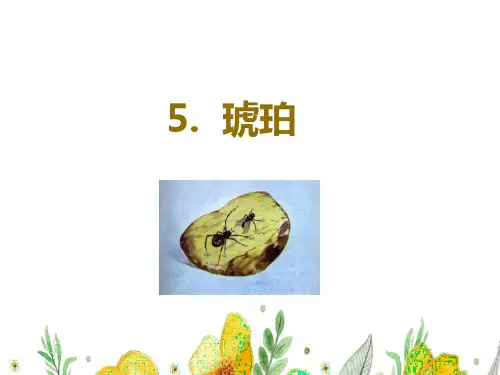 部编版语文四年级下册5《琥珀》课件(共41张PPT)