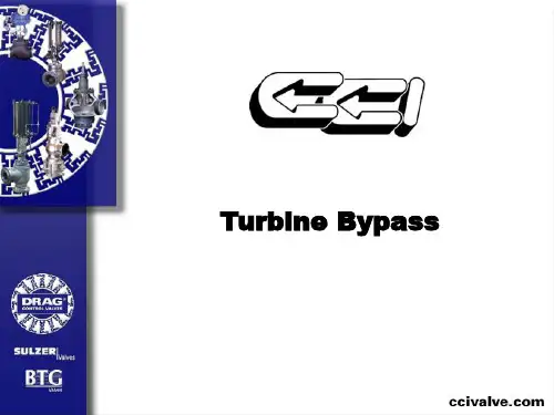 CCI_sulzer_bypass(chinese)CCI-苏尔寿旁路系统中文介绍