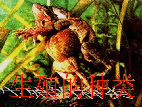 生物的生殖种类(无性生殖和有性生殖).pptx