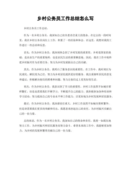 乡村公务员工作总结怎么写