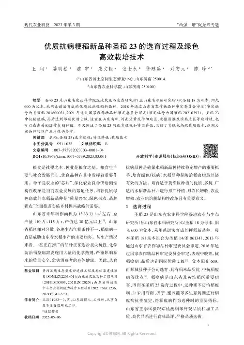 优质抗病粳稻新品种圣稻23的选育过程