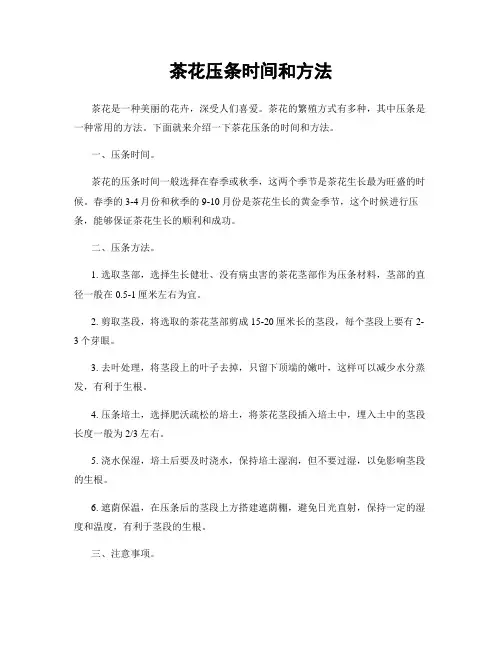 茶花压条时间和方法