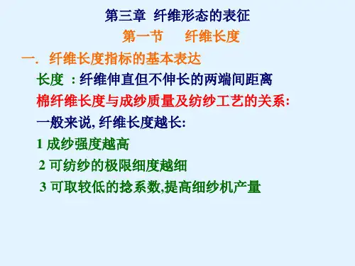 纤维的形态表征