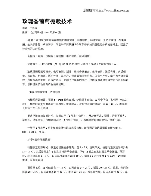 玫瑰香葡萄棚栽技术