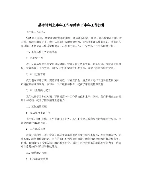 县审计局上半年工作总结和下半年工作打算