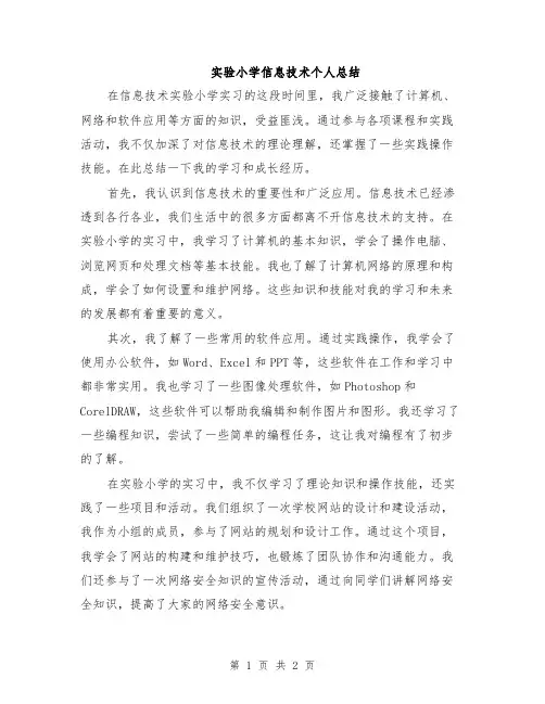 实验小学信息技术个人总结