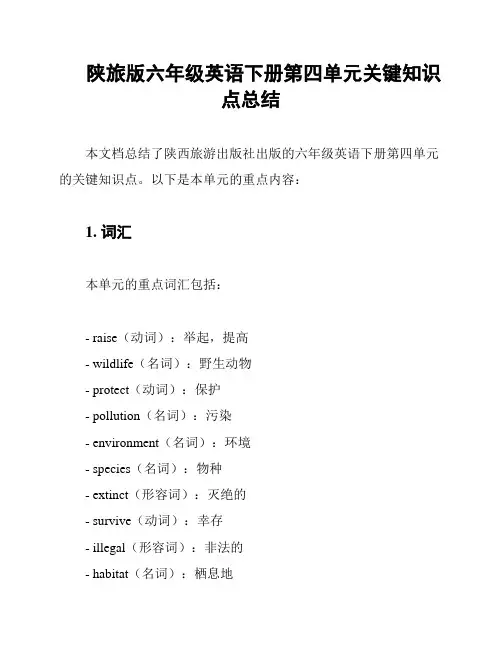 陕旅版六年级英语下册第四单元关键知识点总结