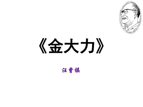 1.2金大力