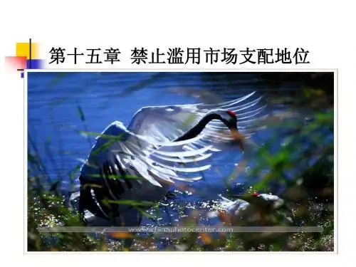 竞争法第十五章禁止滥用市场支配地位