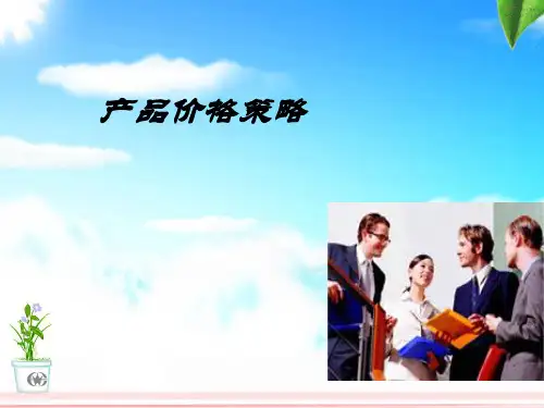 定价策略与价格调整策略