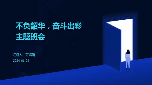 不负韶华,奋斗出彩主题班会