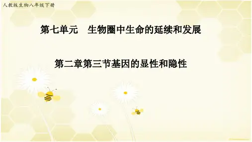 八下第二章第三节《基因的显性和隐性》【课件】(人教版生物)