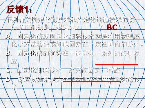 酵母菌专题复习ppt课件