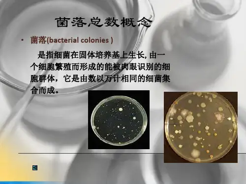 食品中菌落总数检验PPT推荐版