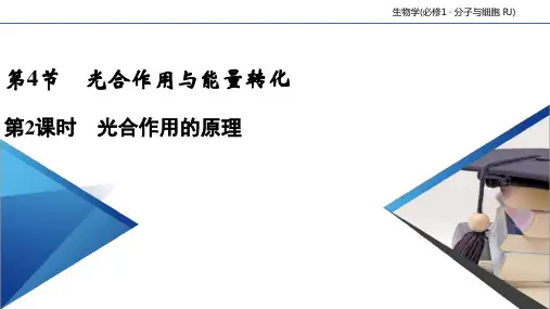 新教材光合作用与能量转化公开课课件人教版1
