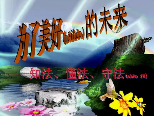 班会课件为了美好的明天(法制)