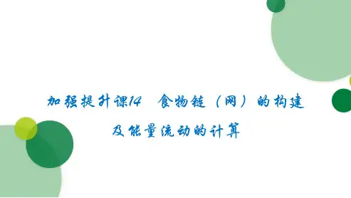 加强提升课14 食物链(网)的构建及能量流动的计算