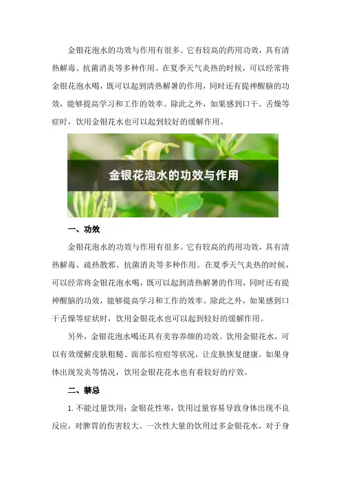 金银花泡水的功效、作用与禁忌