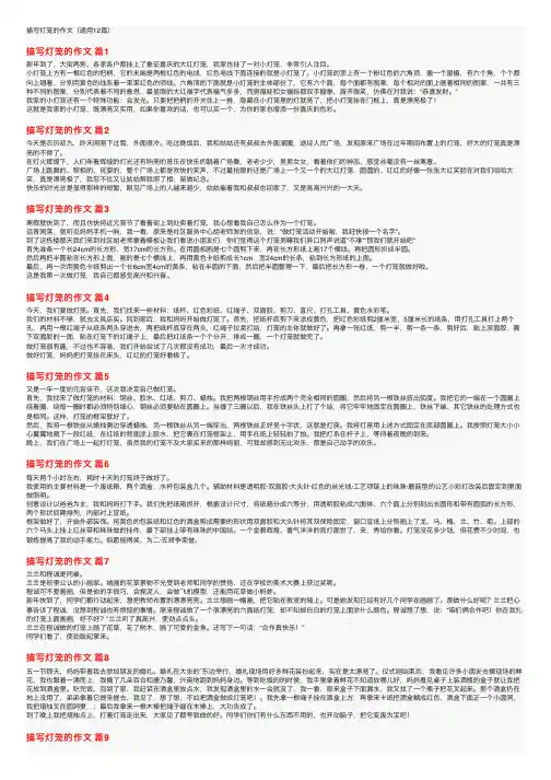 描写灯笼的作文（通用12篇）