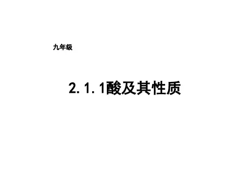 鲁教版(五四)化学九年级8.1《酸及其性质》(第1课时)ppt课件