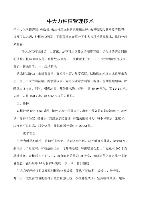 牛大力种植管理技术