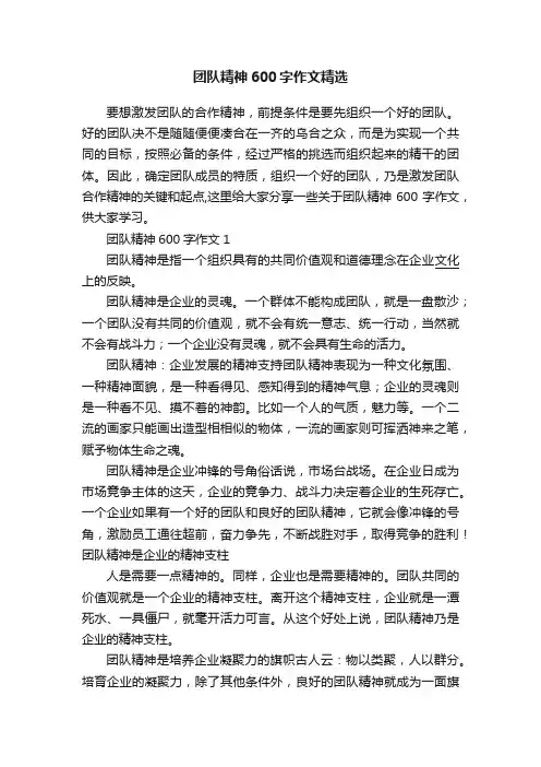 团队精神600字作文精选