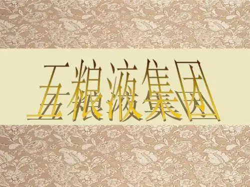 五粮液集团
