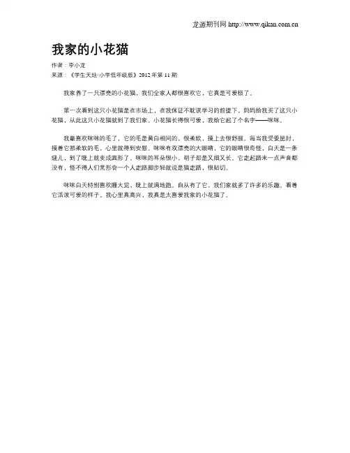 我家的小花猫