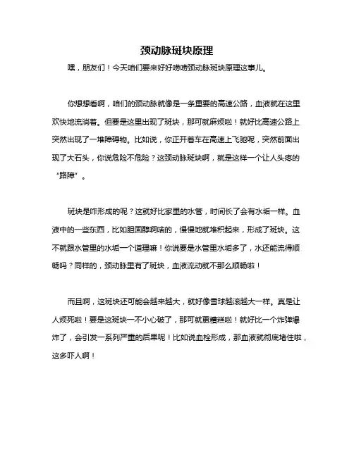 颈动脉斑块原理