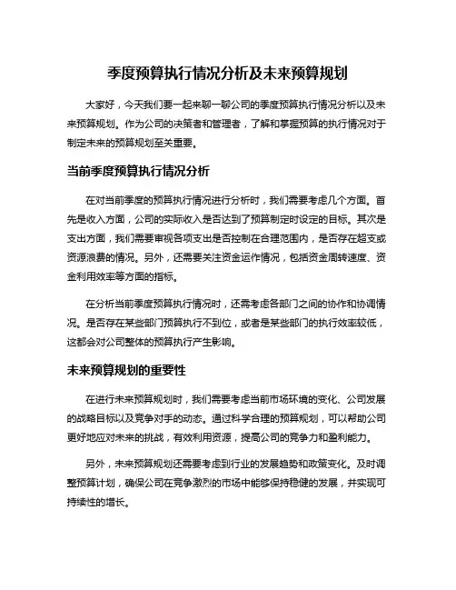季度预算执行情况分析及未来预算规划